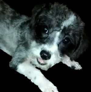 Meet your Posher, Jen